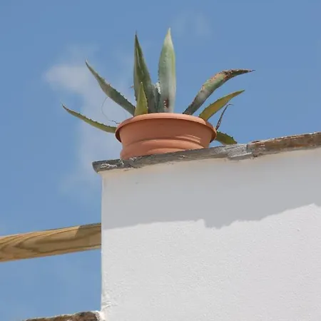 Appartamento Magic Land Pláka